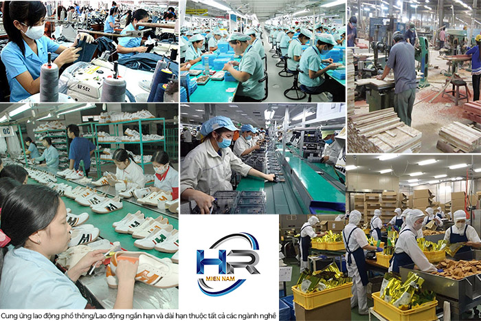 cung ứng nhân lực số lượng lớn ở Bà Rịa - Vũng Tàu - HR Miền Nam