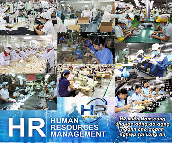 cung ứng nhân lực phổ thông - https://cungunglaodongdatthanhphat.vn/cung-ung-lao-dong-long-an-dat-thanh-phat